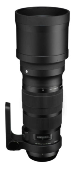 Sigma S 120-300m f/2.8 DG OS HSM paraluce